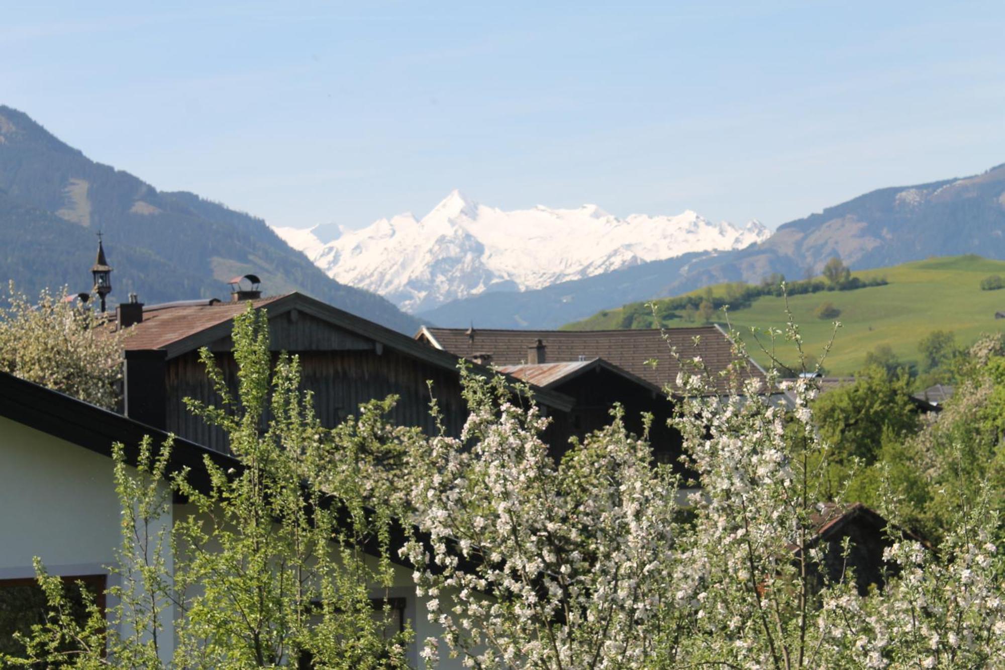 Haus Hartl Hotel Saalfelden Kültér fotó